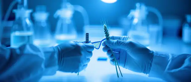 Междисциплинарные навыки станут ключевым фактором подготовки кадров для российской биоэкономики